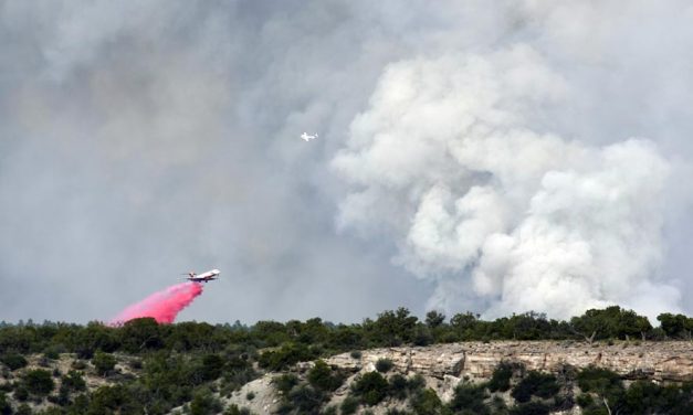 Wood Springs fire grows to nearly 500 acres