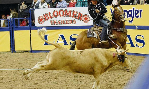 Making ‘a hellacious run’: Round Rock’s Rogers sees success in pro rodeo run