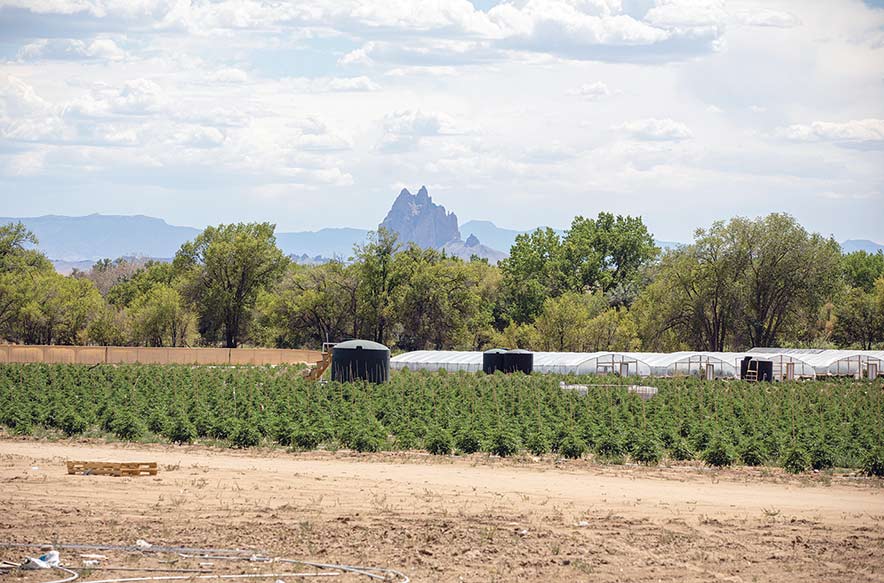 Hemp farm neighbors complain of smell, lights, use of water