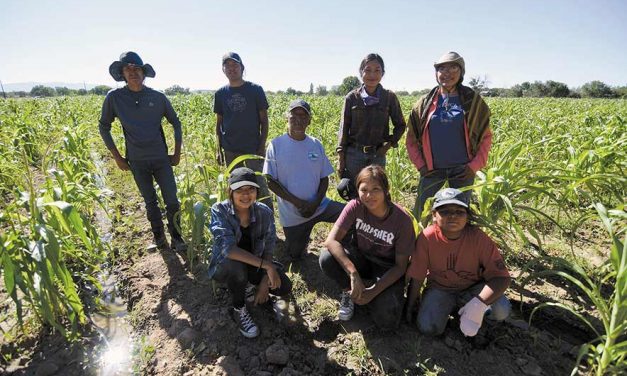 Ben Farms employs youth to work the land