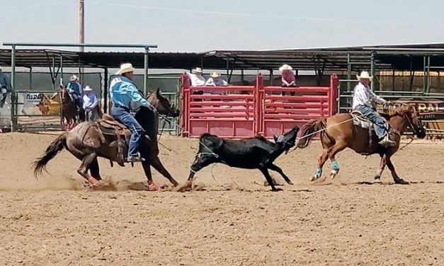 Trust in each other: Young Diné ropers face a stacked field