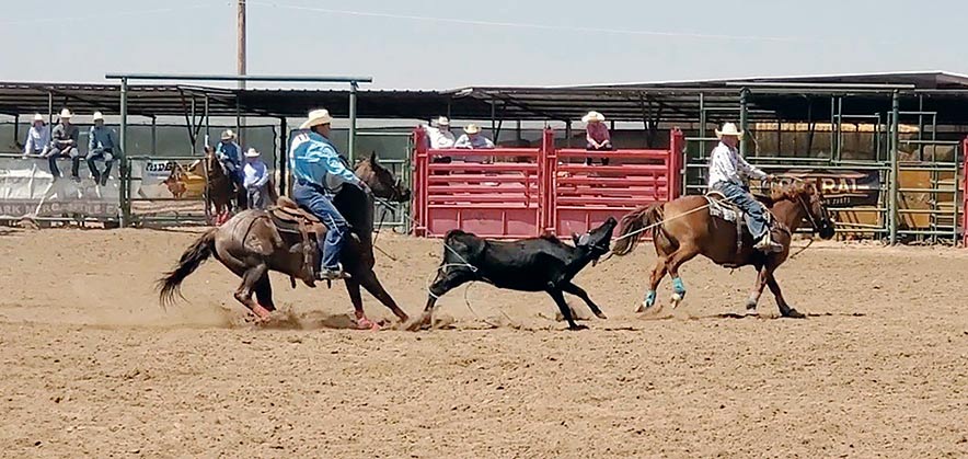 Trust in each other: Young Diné ropers face a stacked field