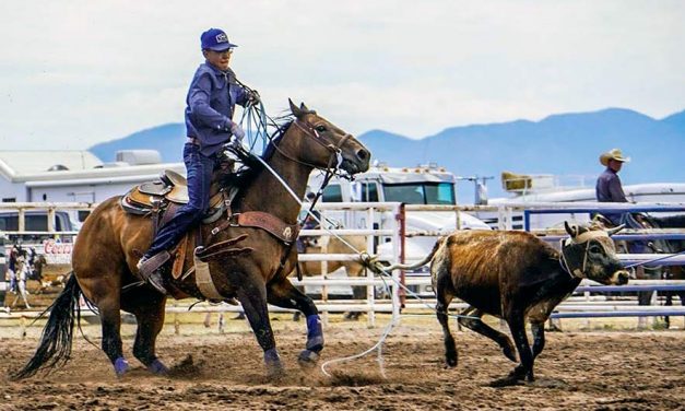‘A lot of heart’: Team roper aims for state, national titles