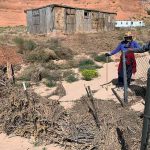 Brush dams save home from flood, pile up soil