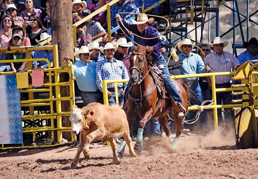 A look back: Navajo Nation Fair brings back fond memories