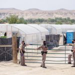 Police start shutting down hemp farms