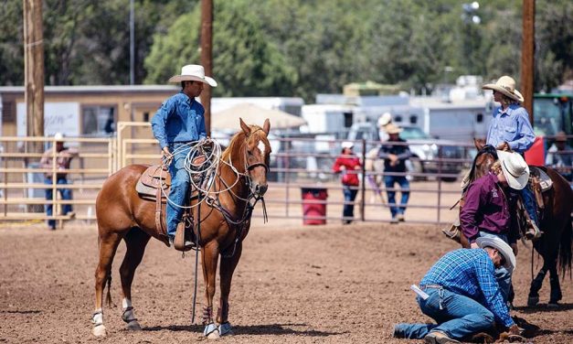 Hours of practice pay off big for roper