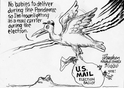 Stork delivers election ballots since no babies to deliver for U.S. general election.