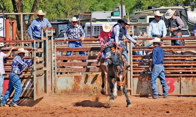 Locals win average titles in high school rodeo