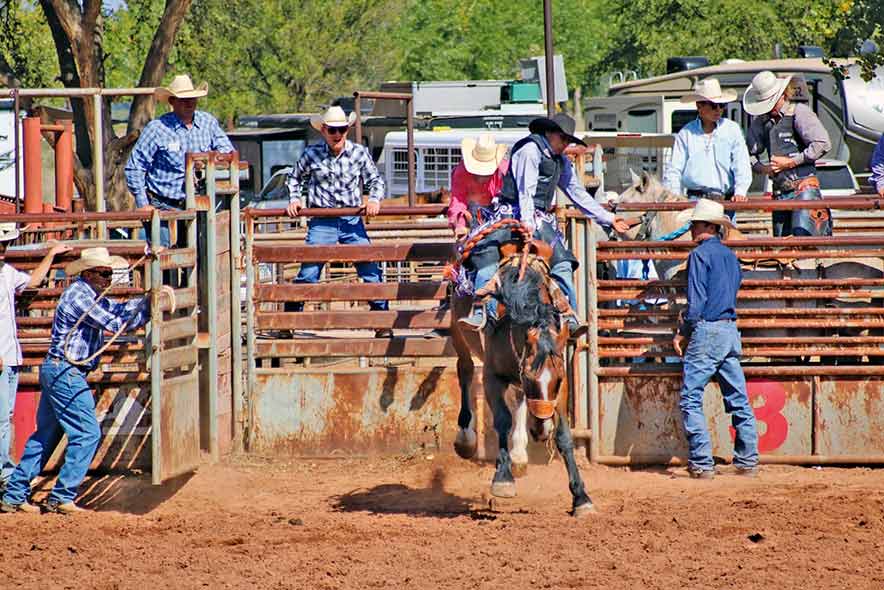 Locals win average titles in high school rodeo