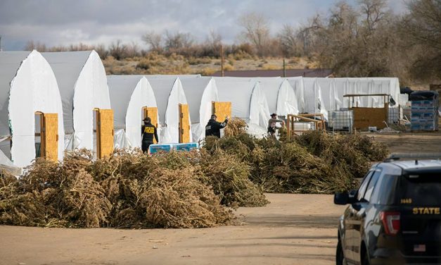 Coalition of officers raids Benally’s hemp farms