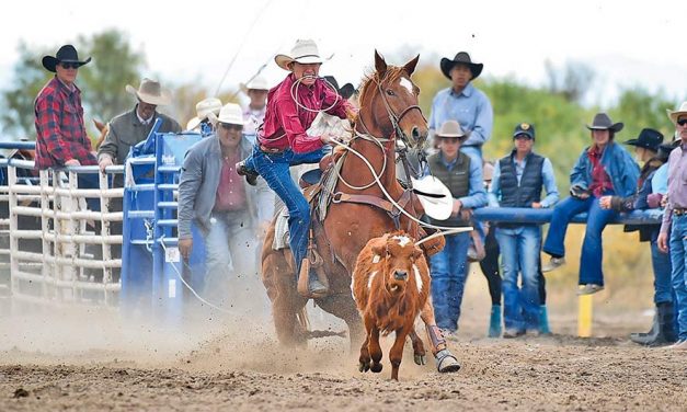 ‘We just know how to win’:  Gallup cowboy nets pair of average titles