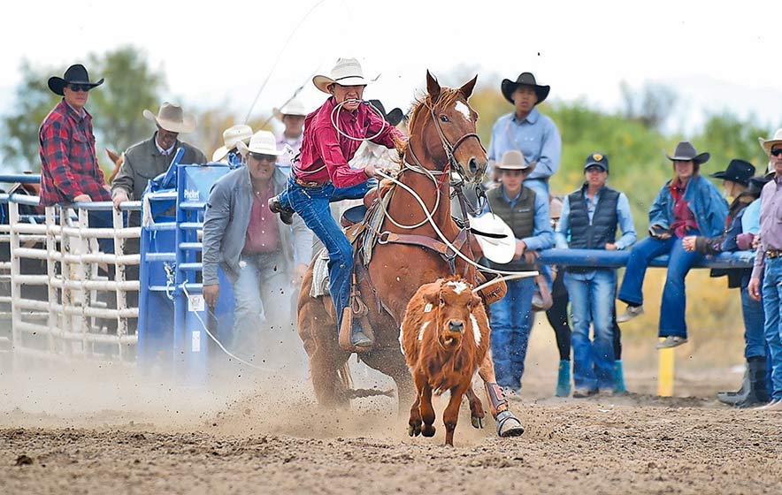 ‘We just know how to win’:  Gallup cowboy nets pair of average titles