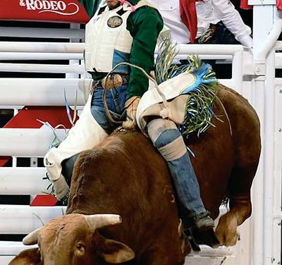 ‘Training never ends’:  Elder cowboys bring home the buckles