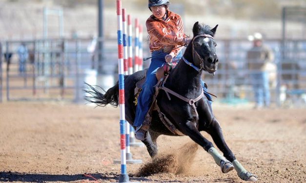 WR cowboy exacts revenge on tricky bull
