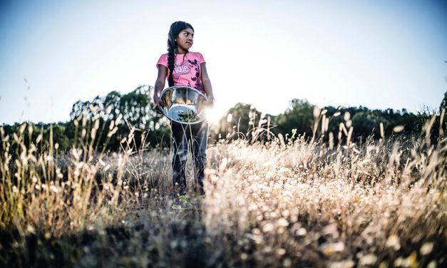 Native foodways doc to air on Netflix