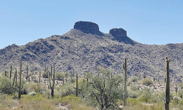 Diné leads effort to change Ariz. peak names