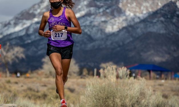 Six athletes earn All-State accolades