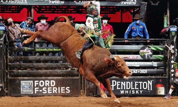 Life looking rich for Rogers, Whitehorse