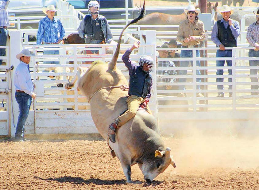 College rodeo finals are back; locals have big dreams