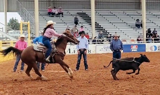 Diné youth earn trip to National Finals