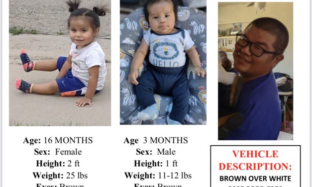 Amber Alert canceled after Aneth toddlers found safe