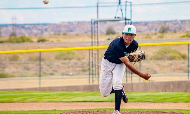 Farmington Stings represent at Connie Mack World Series