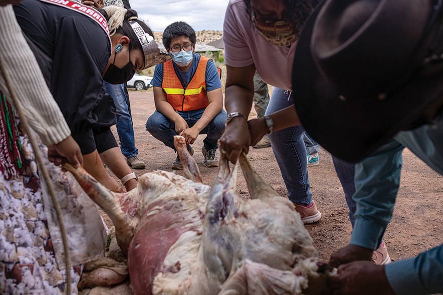 Miss Navajo adds butchering to her resume