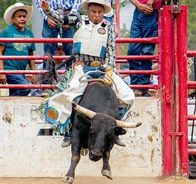 ‘You just have to believe in yourself’: Shiprock bull rider takes another shot at world title