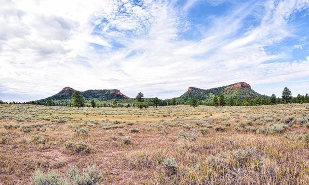 ‘When we speak, people listen’:  Delegates support bills on climate change, wilderness act