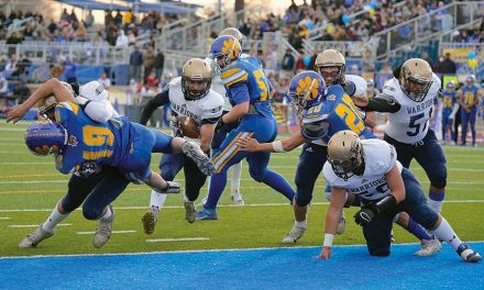 Bloomfield, Farmington fall in state semis