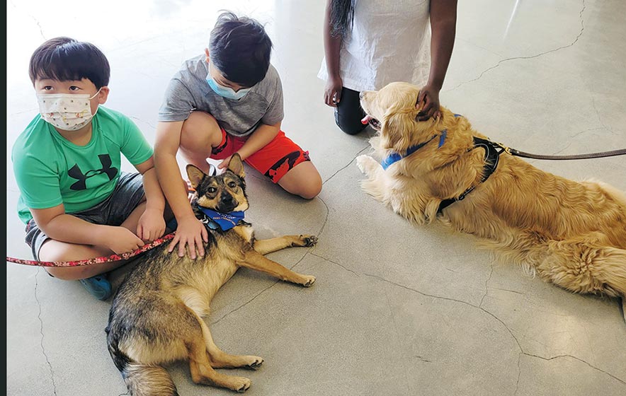 Former rez stray soothes frazzled flyers