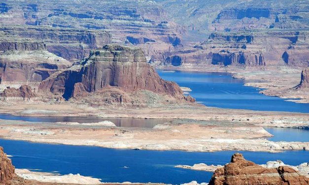 Different yet ‘beautiful’: Low water level revealing new adventures