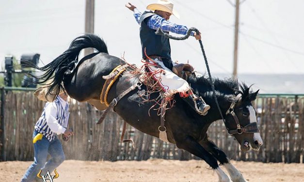 ‘One horse at a time’: Moenave cowboy Stade Riggs headed for national finals
