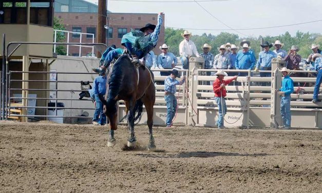 Gearing up for nationals: Three Native cowboys make cut in rough stock events