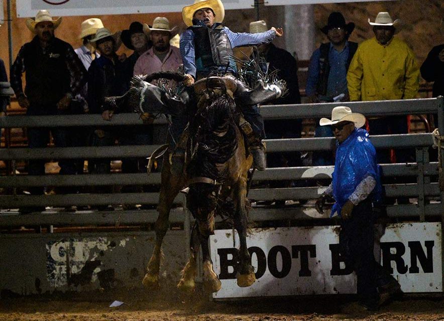 Magdalena bronc rider wins ‘hometown rodeo’
