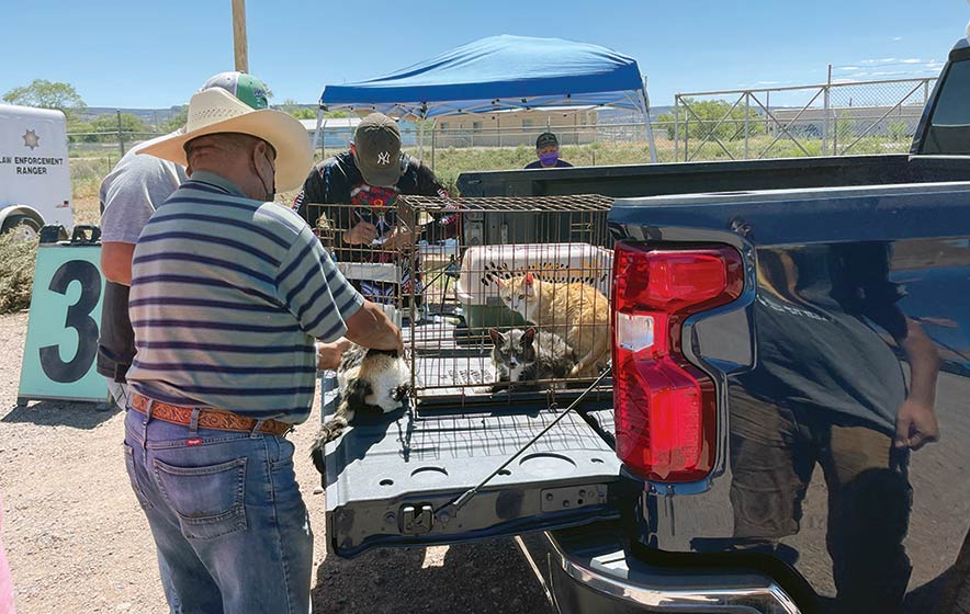 Free pet vaccinations offered at 5 chapters Navajo Times