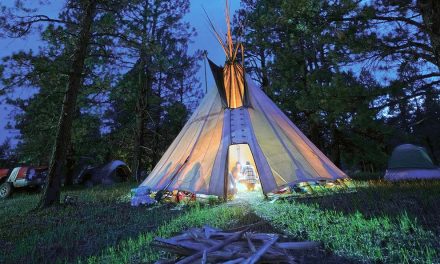 Peyote dispute divides Diné practitioners as psychedelics industry grows
