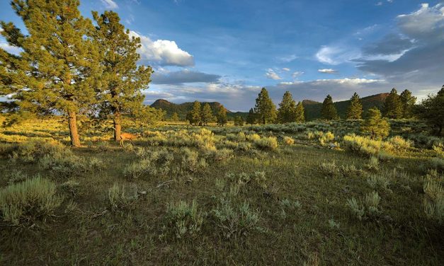 Utah voters voice strong support<br>for sacred protected lands