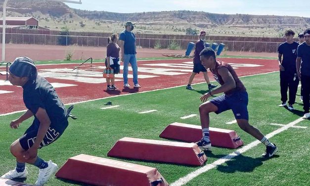 Hornets return five starters to tough region