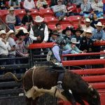 Chinle cowboy wins INFR crown in his debut