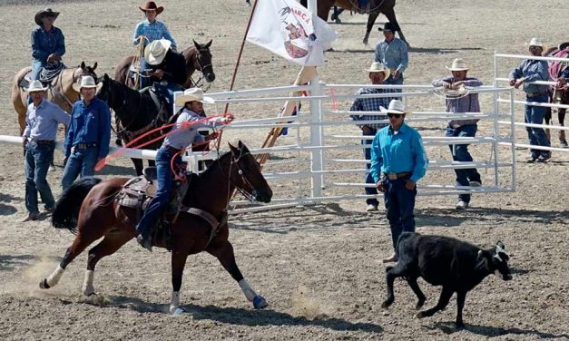 109th Annual Northern Navajo Fair Rodeo:  Farmington cowboy wins tie-down crown
