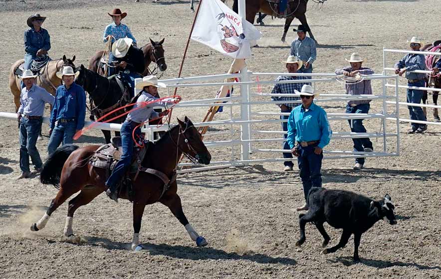 109th Annual Northern Navajo Fair Rodeo Farmington cowboy wins tie