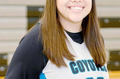 Sixth man: Chandler-Gilbert post leads freshman reserve