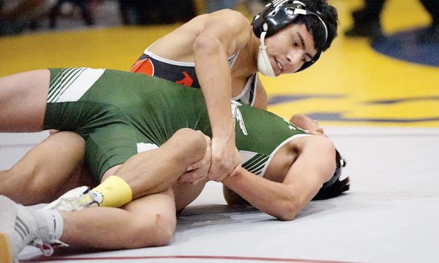 AIA sectional wrestling meet set for Saturday