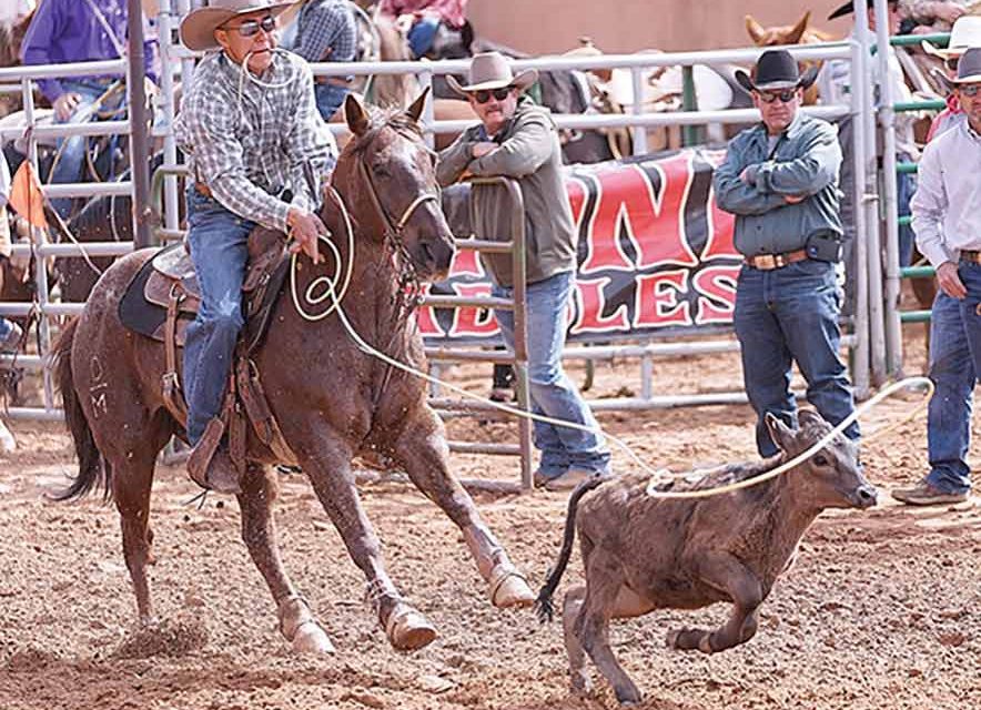 Consistency paying off for local team ropers