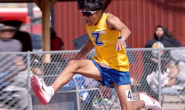 Zuni sweeps team titles at district meet
