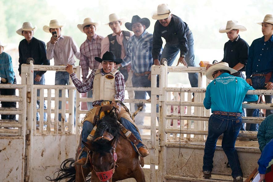 Thirdgeneration cowboy making headway in junior rodeo circuit Navajo