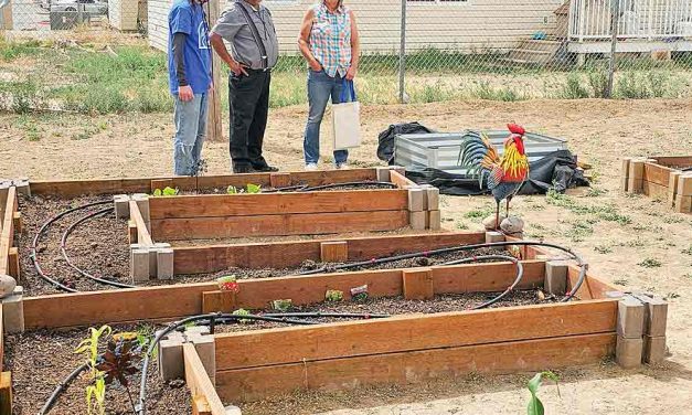 ‘A seed was planted’, Chinle Planting Hope celebrates with community open house