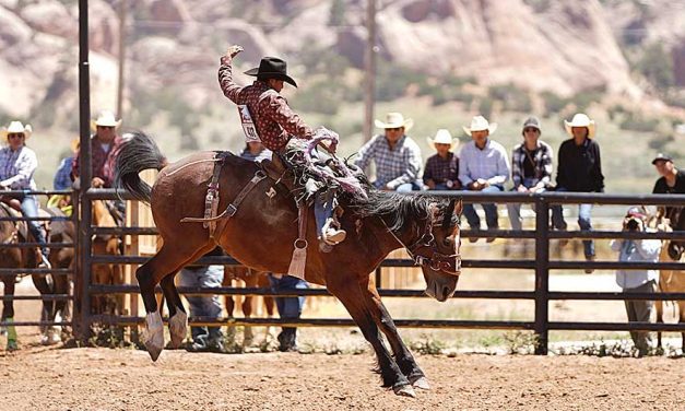 Navajo Ag Expo sees saddle bronc shakeup, Beshbetoh cowboy earns INFR qualification
